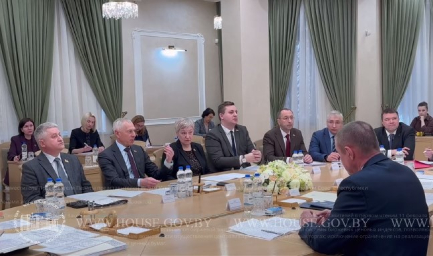 Состоялось заседание экспертного совета при Совете Республики